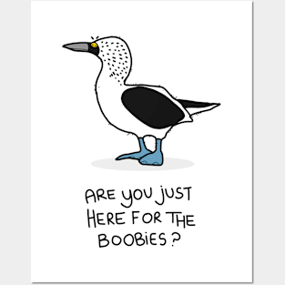 Grumpy Booby Posters and Art